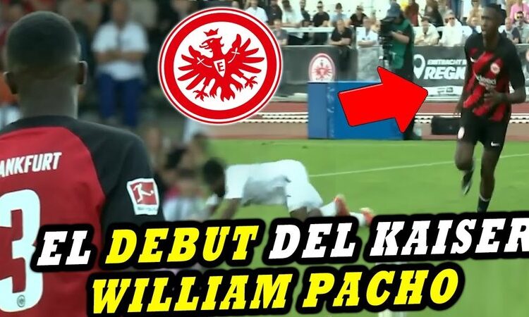  Mr Pacho Online Casino: Eine Welt voller Überraschungen