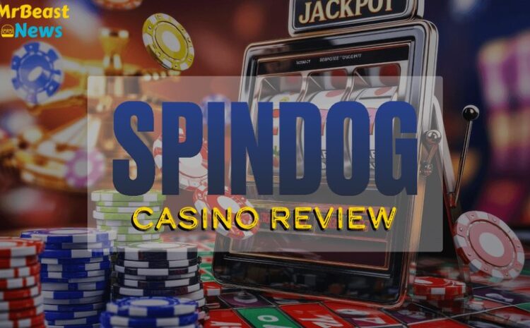  Experience the Real Deal with Spindog Casino UK