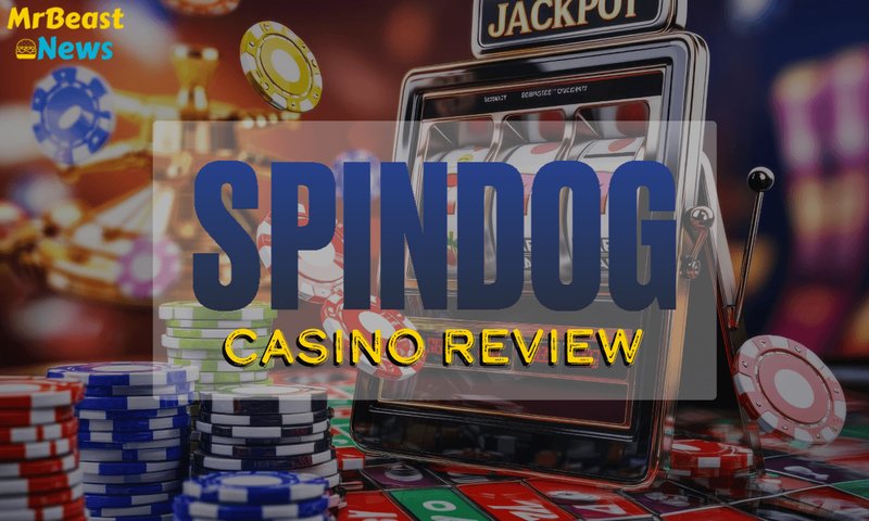 Spindog login, spindog app Spindog login, spindog app